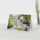Search for bulldog thank you cards Bullies