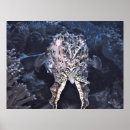 Search for tentacles posters Squid