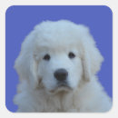 Search for fluffy dog stickers Animal