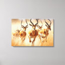 Search for impala art Animals