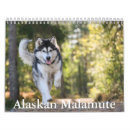 Search for alaskan malamute gifts Canine