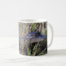Search for alligator mugs Wildlife