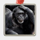 Search for chimpanzees christmas tree decorations Funny