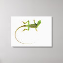 Search for lizards canvas prints Animals