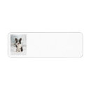 Search for corgi return address labels Animal