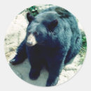 Search for bear photo stickers Black