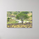 Search for wildebeests art Connochaetes taurinus