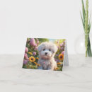 Search for fluffy white cards Puppy