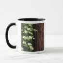 Search for dogwood tree mugs Yosemite