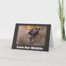 Search for wild dog cards Wildlife