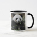 Search for giant panda mugs Cute
