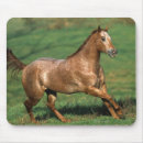 Search for grassy mouse mats Equestrian