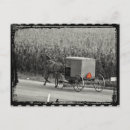Search for amish postcards Carriage