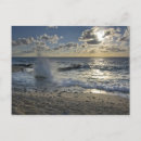 Search for environment postcards Shore