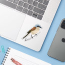 Search for little bird stickers Avian