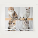 Search for christmas kitten art Cute
