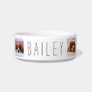 Search for photo pet bowls Dogs