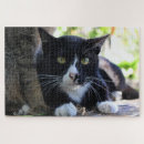 Search for tuxedo cat puzzles Feline