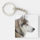 Search for siberian husky key rings Alaskan malamute