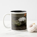 Search for whitetail deer mugs Nature