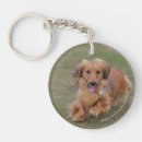 Search for dachshund pictures key rings Chocolate and tan