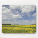 Search for central mouse mats Horizontal