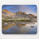 Search for rocky mouse mats Fall