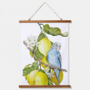 Search for budgie art Budgerigar