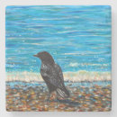 Search for the crow coasters Corvid