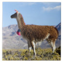 Search for herd the tiles Colourful