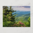 Search for howie postcards Flower