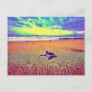 Search for turtle painting postcards Cute