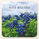 Search for blue flower coasters Texas