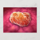 Search for molecular postcards Close up