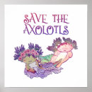 Search for axolotl posters Salamander