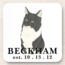 Search for black cat coasters Black and white