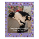 Search for painted lady posters For kids