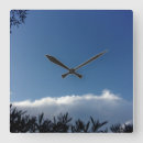 Search for cool design clocks Time