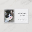 Search for kitten business cards Unique