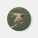 Search for stretching magnets Wildlife
