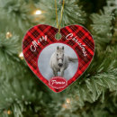 Search for show christmas tree decorations Equine