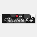 Search for chocolate lab bumper stickers Dog