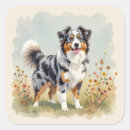 Search for merle stickers Australian shepherd