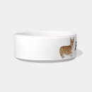 Search for corgi dog bowls Pet
