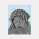 Search for newfoundland blankets Pet