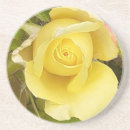 Search for petals barware Floral design