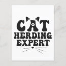 Search for love pet cards Kitten