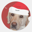 Search for dog pictures stickers Labrador retriever
