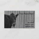 Search for dairy milk business cards Animal