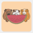 Search for guinea pig stickers Food